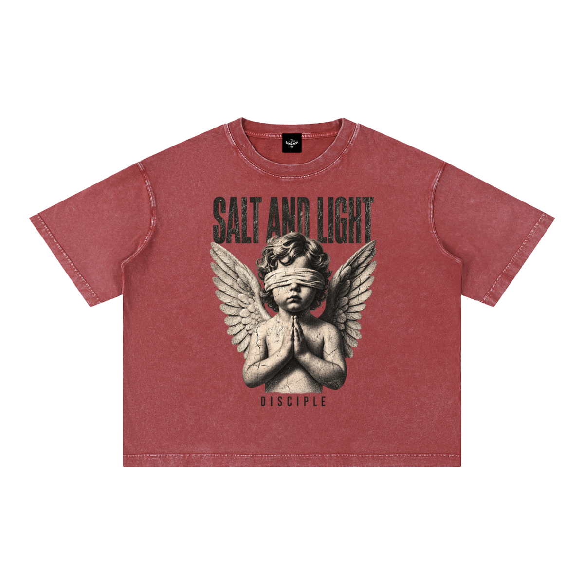 Salty Disciple Boxy Tee