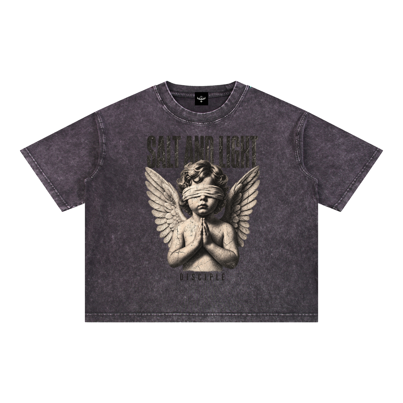 Salty Disciple Boxy Tee