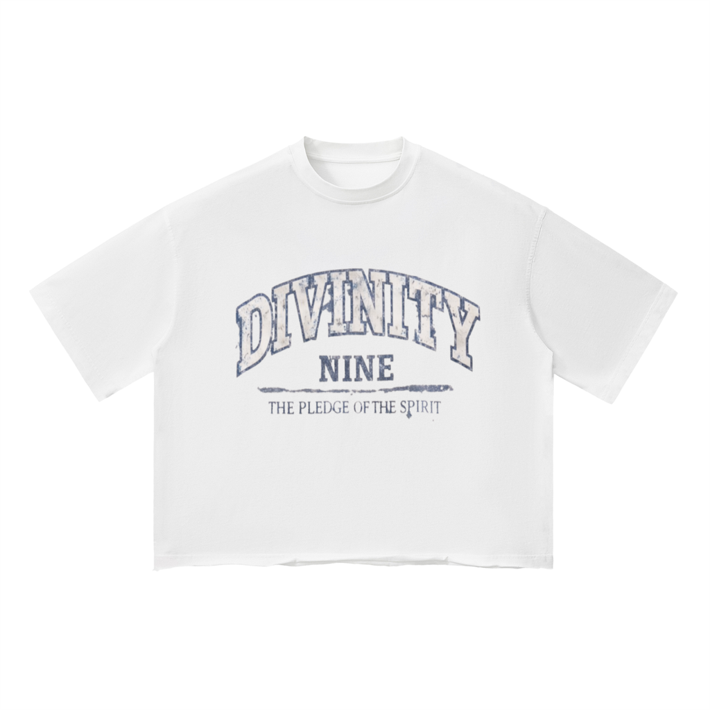 DIVINITY Vintage Boxy Tee