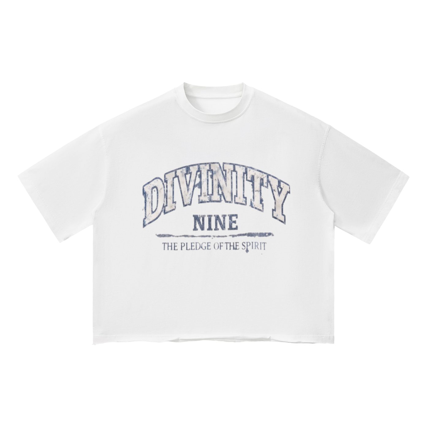 DIVINITY Vintage Boxy Tee