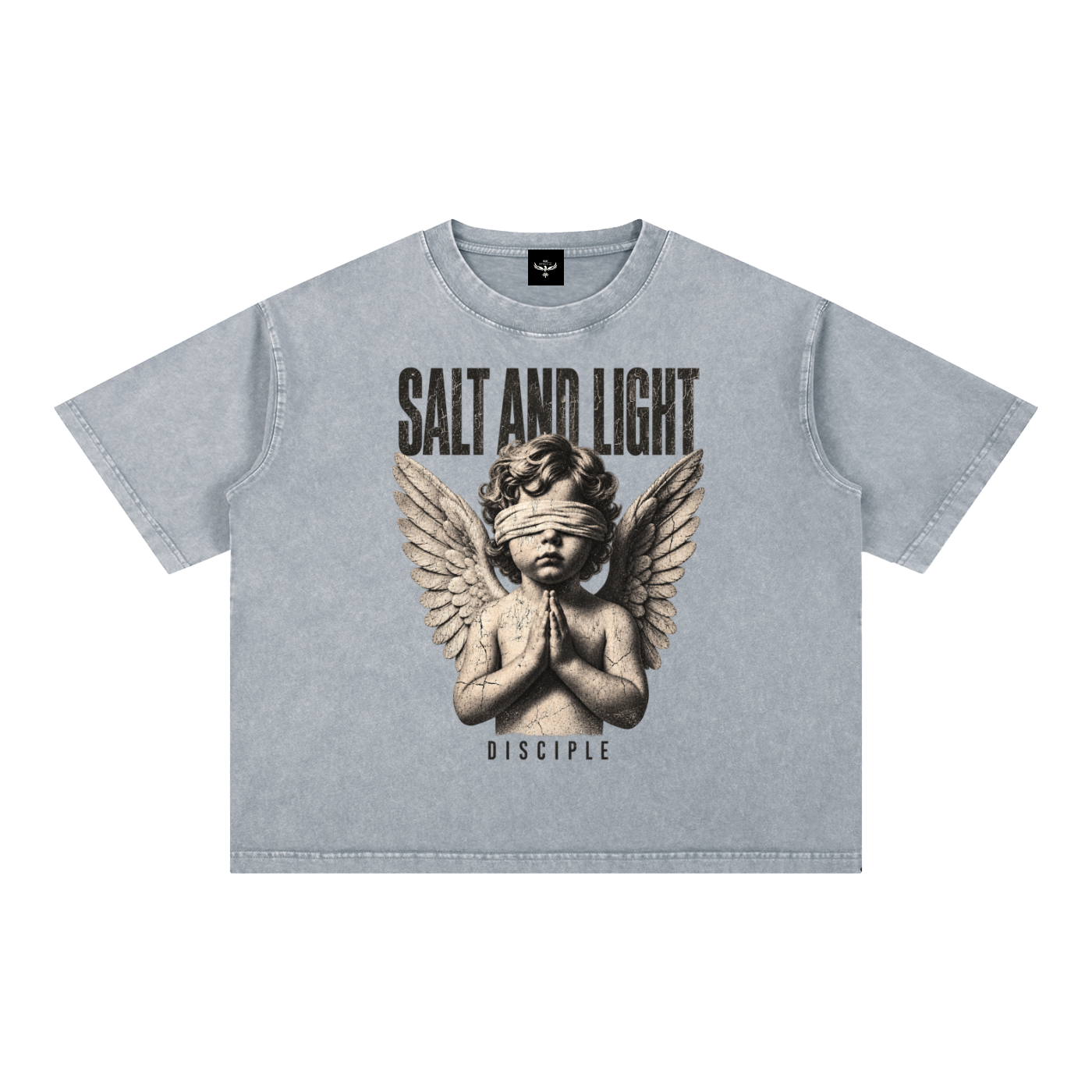 Salty Disciple Boxy Tee