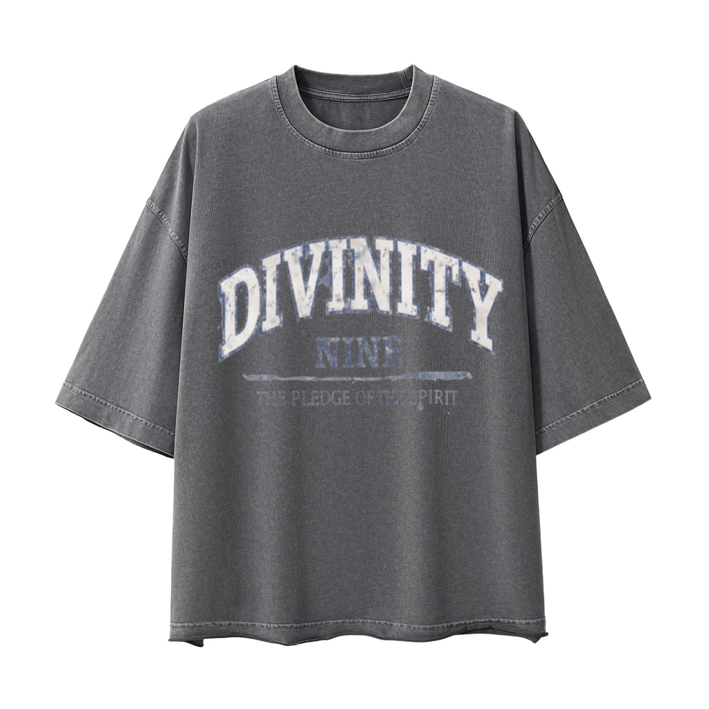 DIVINITY Vintage Boxy Tee