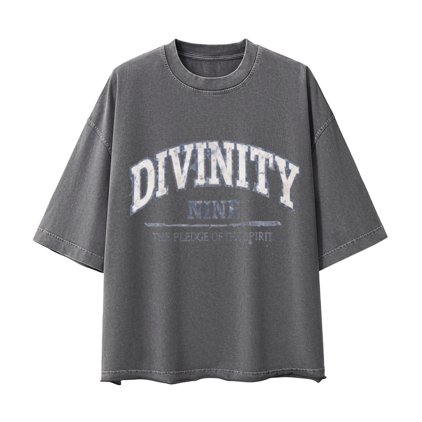 DIVINITY Vintage Boxy Tee