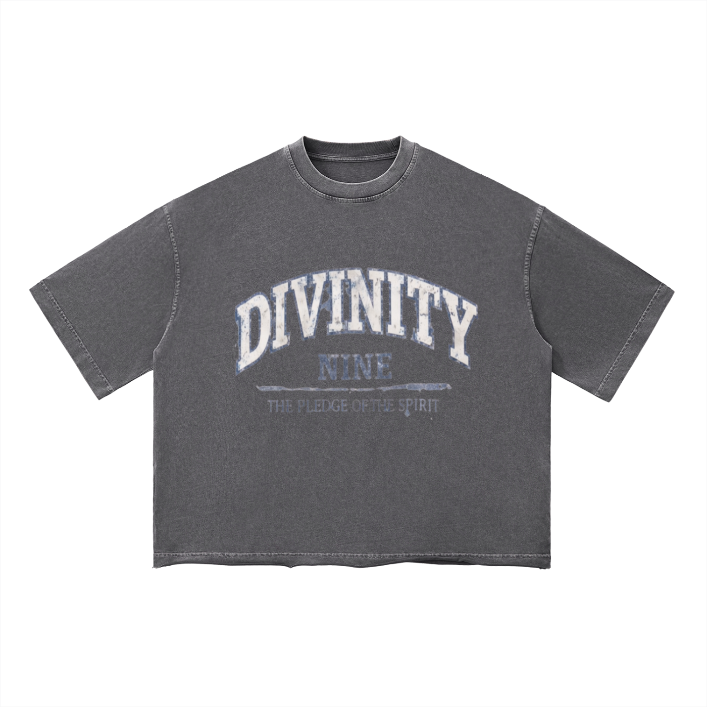 DIVINITY Vintage Boxy Tee
